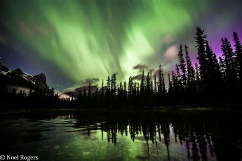 aurora borealis in canada
